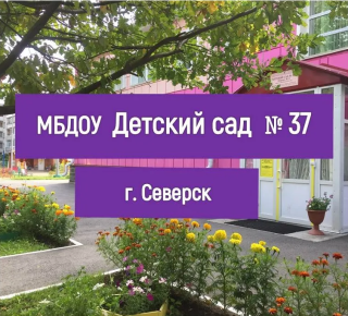 Муниципальное бюджетное дошкольное образовательное учреждение «Детский сад № 37»